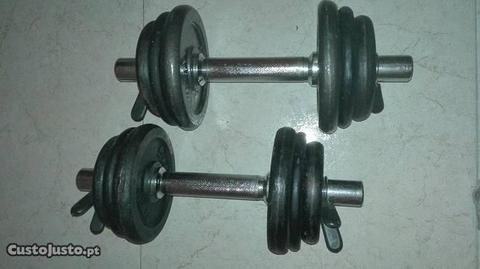 4 halteres