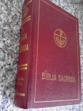 livro a biblia sagrada, nova