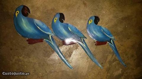 Papagaios pintados a mão novos decoração