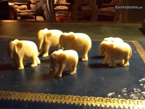 Elefantes de marfim