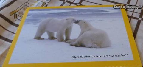 Postais National Geographic animais - 4 postais