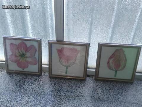 Conjunto de três quadros flor rosa
