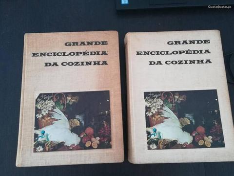 Grande enciclopédia da cozinha- Maria de Lourdes M