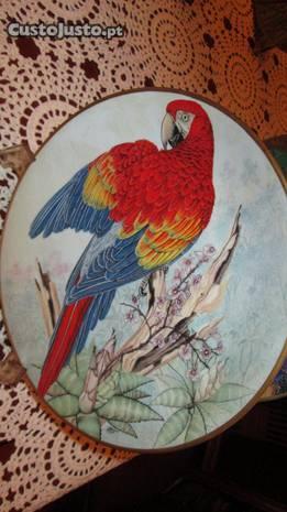 Colecções Philae pratos de aves exóticas