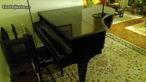 Piano de Cauda Bechstein