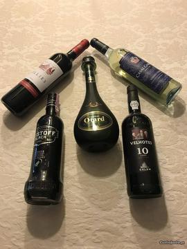 Lote de Cognac, Porto, Vodka e Vinhos