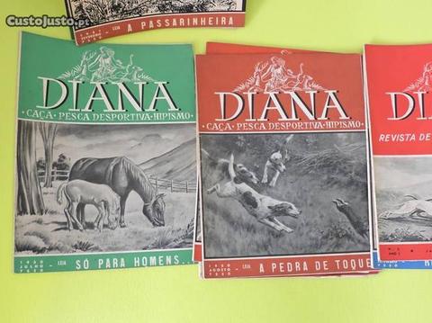 Diana - Caça e Pesca Hipismo v individual