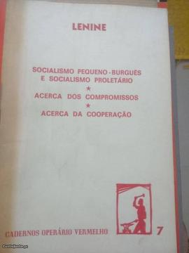 Lenine socialismo pequeno-burguês